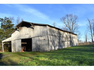 Property photo 53 - LAND AUCTION - 1,682+/- ACRES OFFERED IN 17 TRACTS IN LEWIS & GREENUP COUNTIES, KENTUCKY